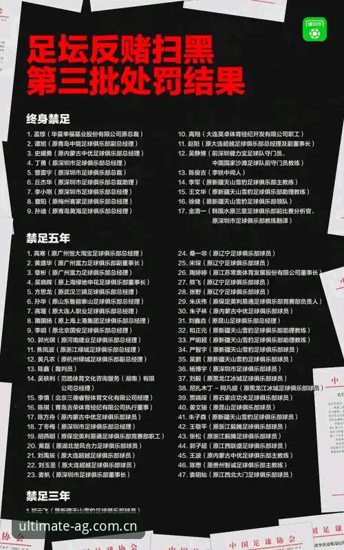 爱游戏6F2A通道 中国足协第三批禁足名单深度解读教程:通过爱游戏6F2A通道了解行业整顿内幕